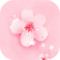 9:1短视频APP应用